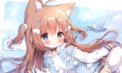 Featured image of post 网安猫猫资源库