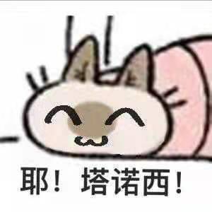 好诶!