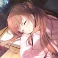 Linux/Windows终端美化